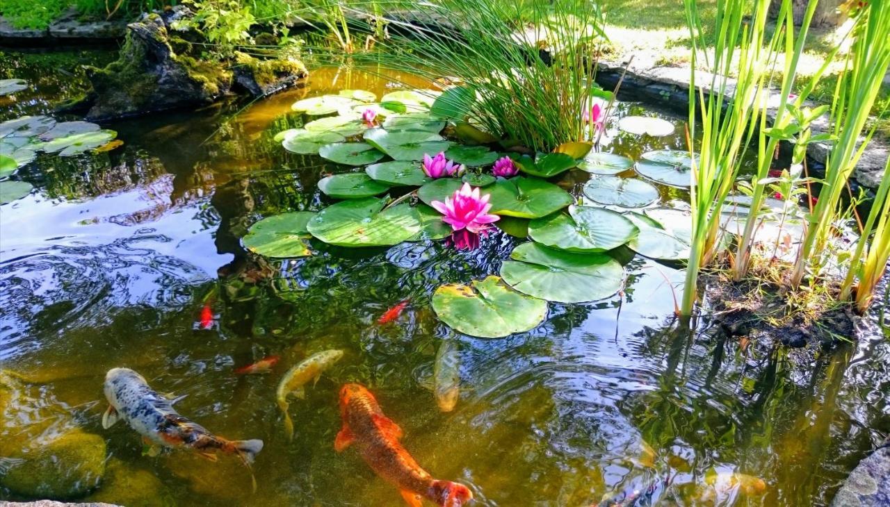 Gite Pause Au Jardin Saint-Branchs 外观 照片